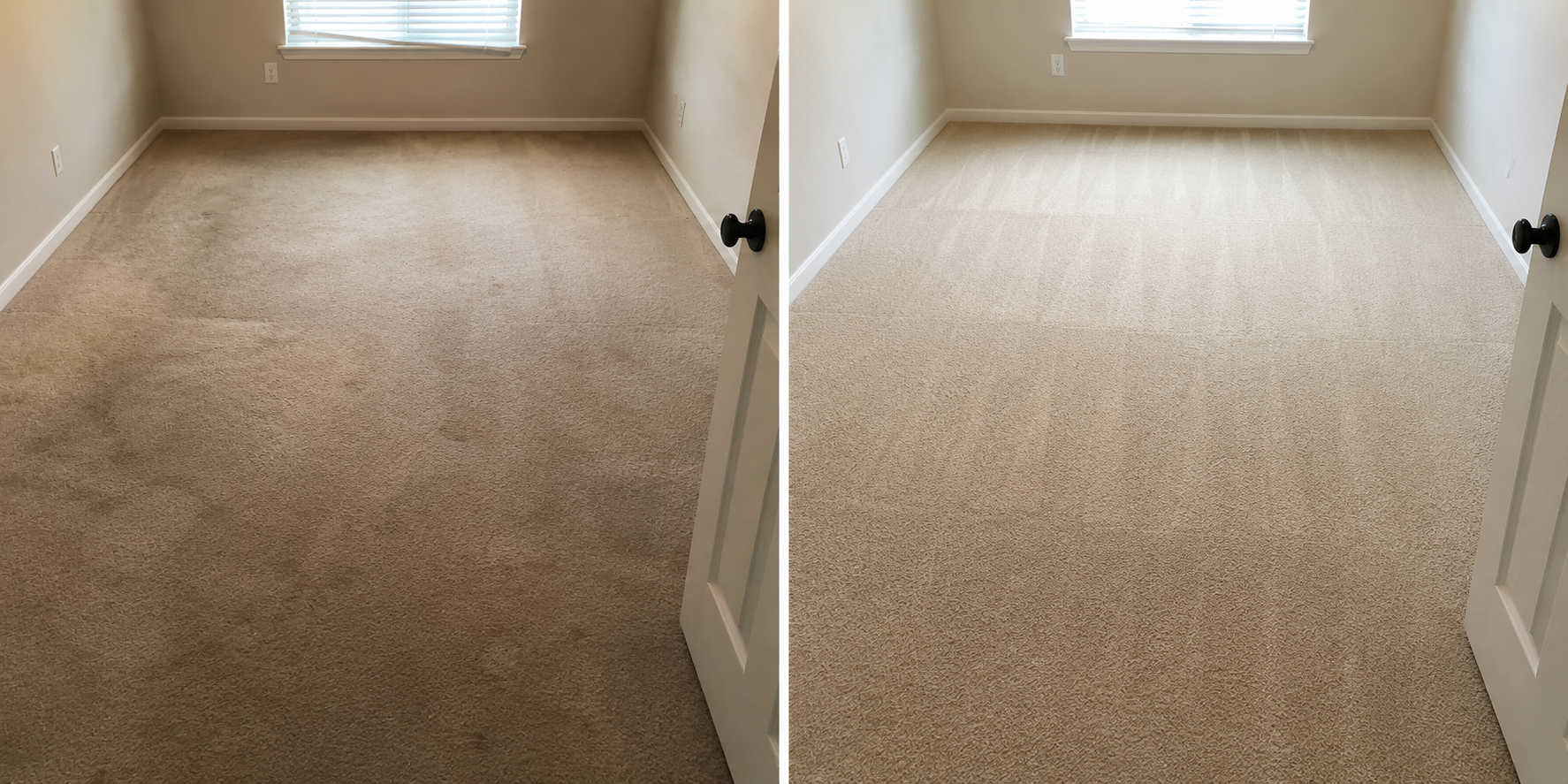 professional carpet steam cleaning in an Adelaide home